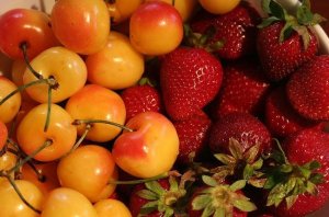 frutas de primavera con infusiones manasul pharmadus